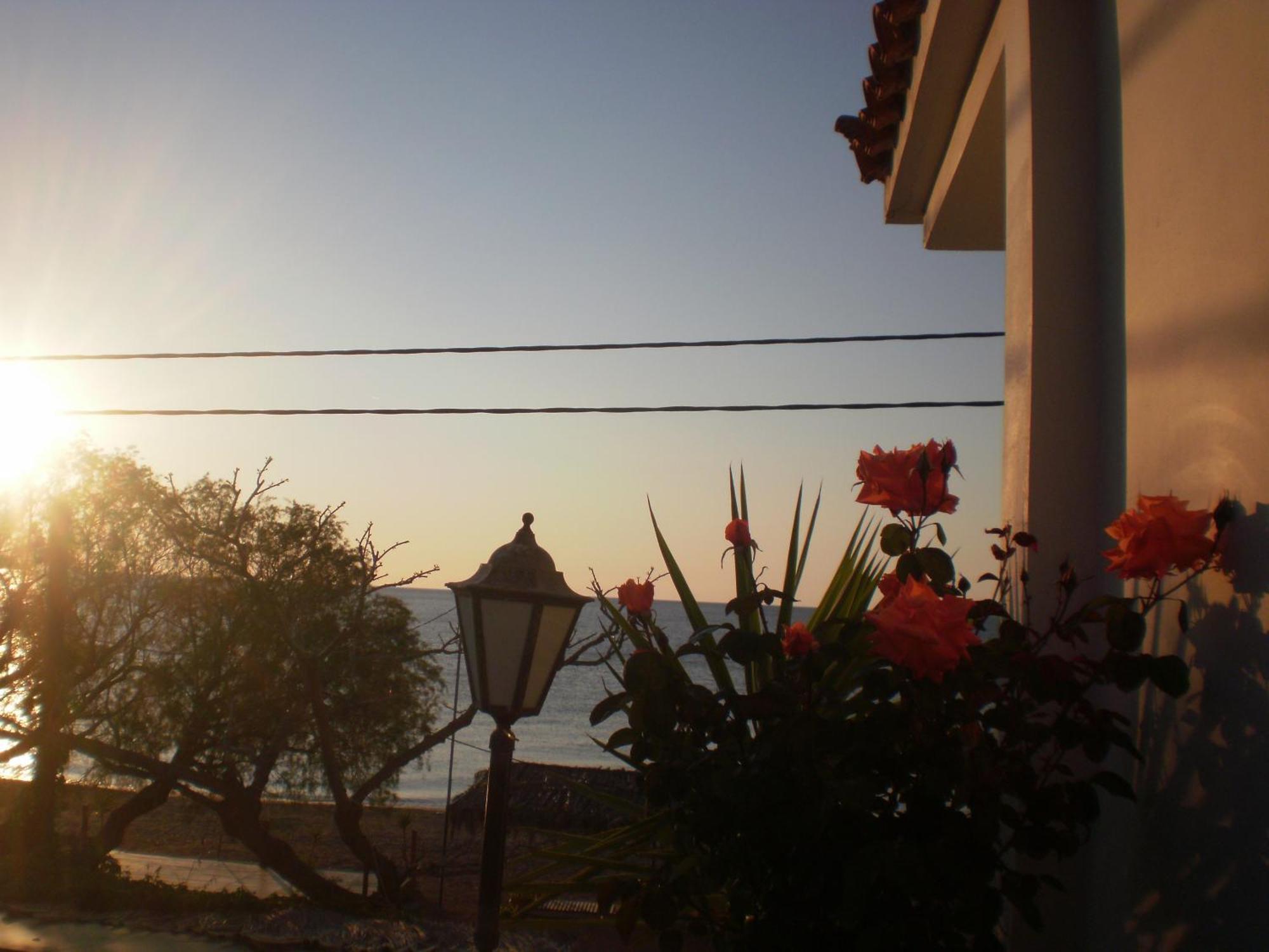 Daire Dimitra Petra (Lesbos)